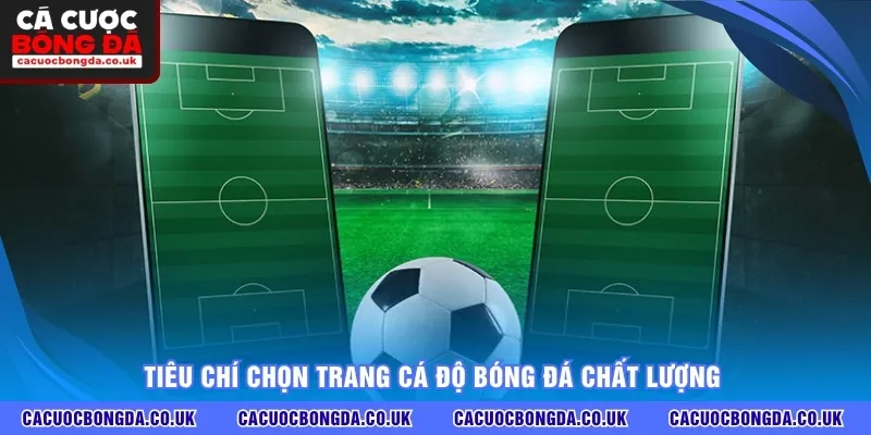 Tiêu chí chọn trang cá độ bóng đá chất lượng 